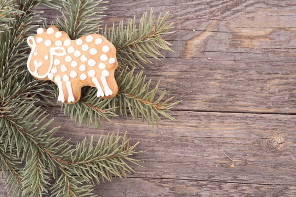 Gingerbread cookies — Stock Photo, Image