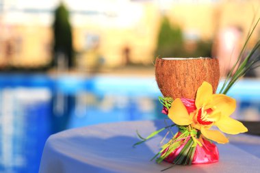 bir bardak Hindistan cevizi