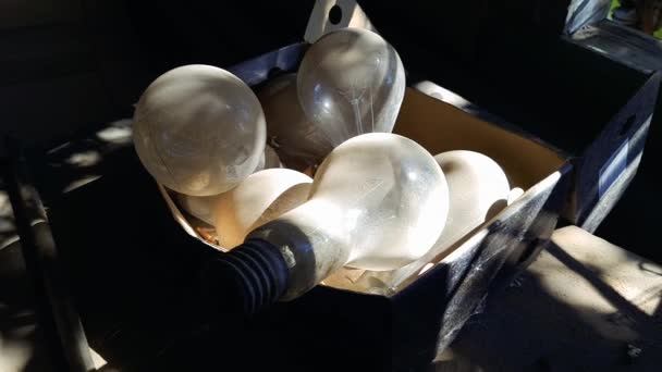 Группа Старых Пыльных Ламп Накаливания Картонной Коробке Заброшенном Доме Естественный — стоковое видео