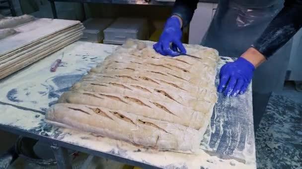 Trabajador Panadería Macho Cortar Pan Delicioso Antes Poner Horno Una — Vídeo de stock