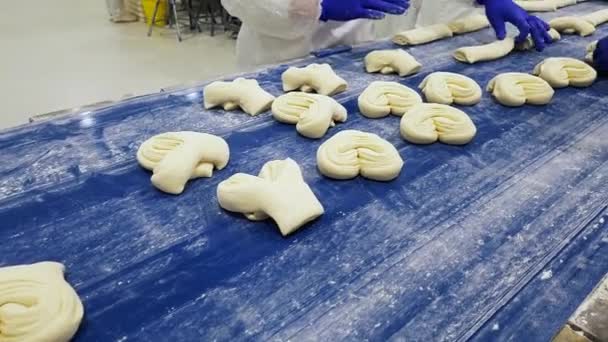 Grupo Trabajadoras Haciendo Deliciosos Bollos Dulces Dought Una Cinta Transportadora — Vídeo de stock