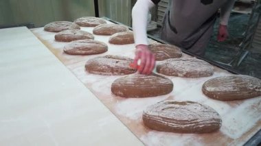 Erkek fırıncı, konveyör bandına fırına koymadan önce bir somun lezzetli çavdar ekmeği kesti. Modern otomatik fırın. Gıda üretim endüstrisi