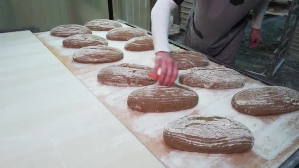 Male Worker Baker Cut Loaves Delicious Rye Bread Put Oven — Stockvideo