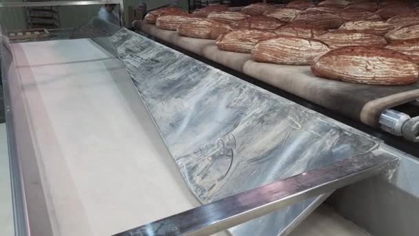Panes Recién Horneados Delicioso Pan Centeno Salen Del Horno Una — Vídeo de stock