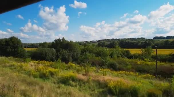 Widok Wieś Żółte Pola Otwartego Okna Szybko Jadącego Pociągu Wiejski — Wideo stockowe