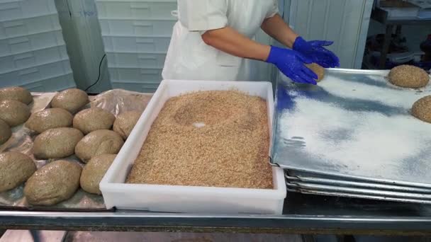 Women Roll Fresh Loaves Bread Breading Crumbs Baking Working Modern — Stockvideo