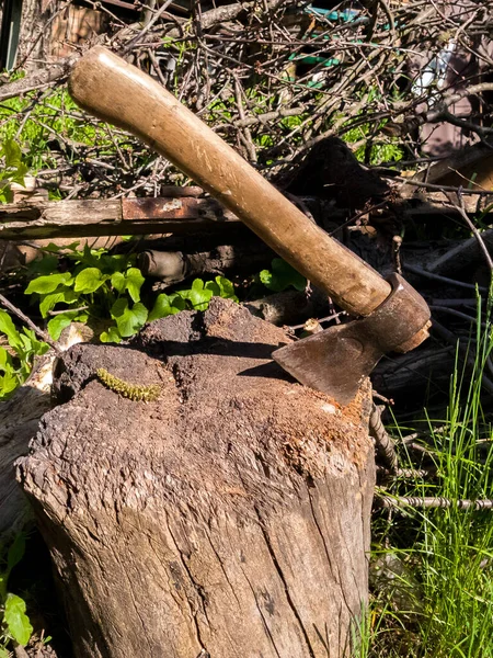 Old Vintage Iron Sticks Out Stump Farm Sunny — Foto de Stock