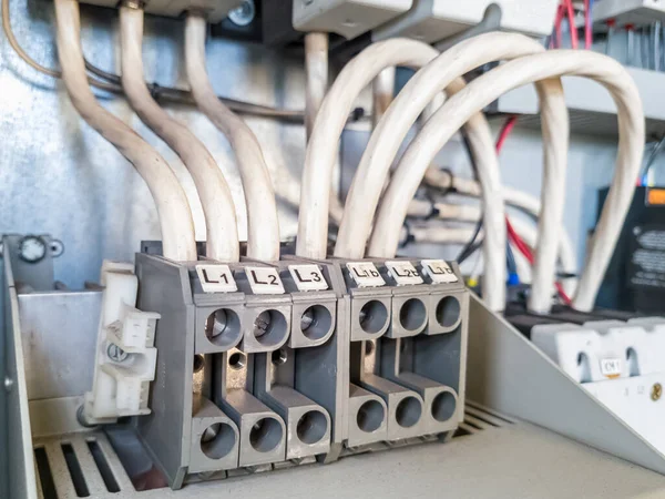 Row of fuses installed in electrical cabinet of automation system in an industrial plant.