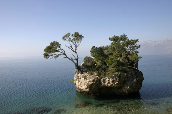 Klein eiland in de Adriatische Zee — Stockfoto
