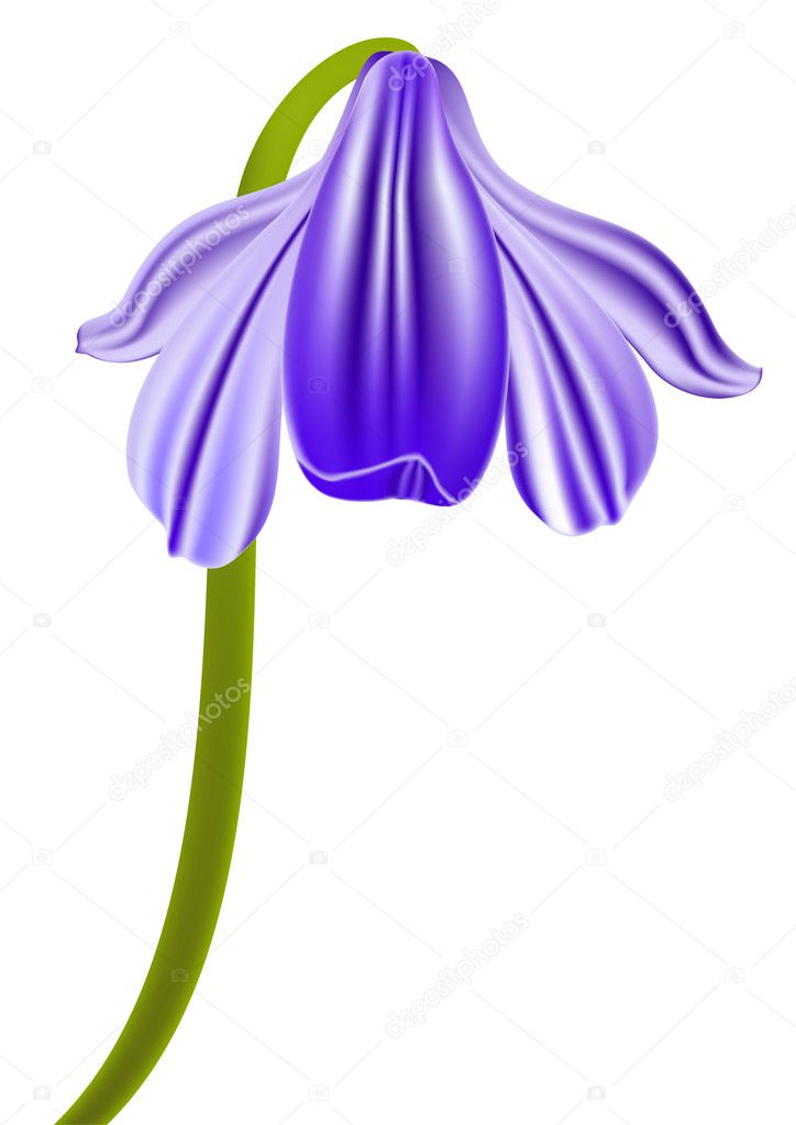 ぜいたく青い花 イラスト 美しい花の画像 ぜいたく青い花 イラスト 美しい花の画像