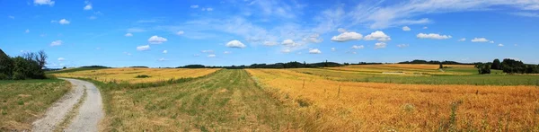 干的豌豆领域，与蓝蓝的天空和云 tisnovska nova ves，在捷克共和国的村庄附近的老土路 — 图库照片