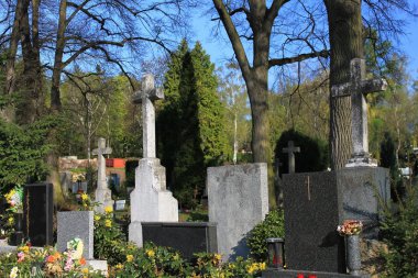 Çek Cumhuriyeti city Brno mezarlığı