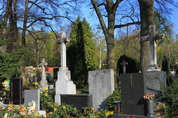 кладбище в городе Брно Чехии
