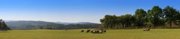 羊牧场、 捷克村、 全景 — 图库照片