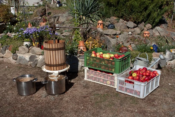 Hombre produce zumo de manzana, prensado de frutas casero, otoño en el jardín —  Fotos de Stock