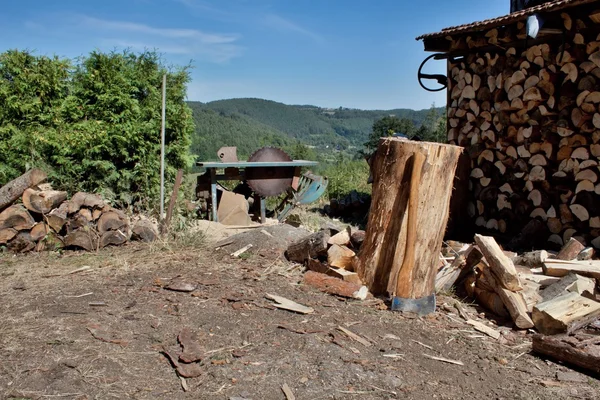 Firewood, preparing for winter — Stock Photo, Image