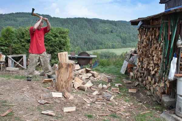 Trabajos domésticos, corte de madera, preparación para el invierno — Foto de Stock