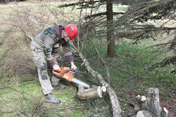 Ein Holzfäller, der mit einer Kettensäge arbeitet, (betula) — Stockfoto