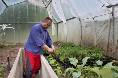 bahçıvan, bir sera Çiçekçilik