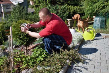 Bahçe, yaz günü bahçede çalışan adam