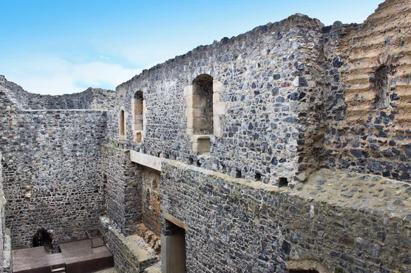 Rovine del Castello di Radyne, Repubblica Ceca — Foto Stock