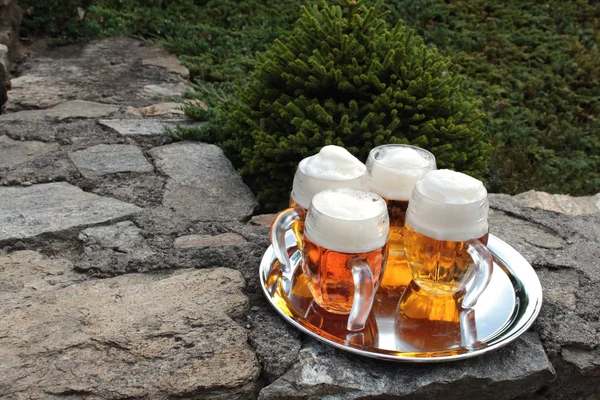 Copo de cerveja em uma parede de pedra, festa de jardim — Fotografia de Stock