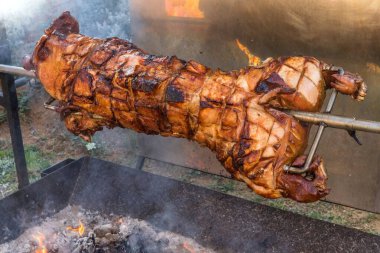Ahşap kömürlü ızgarada genç bir domuzla barbekü. Kızarmış domuz eti ızgarada pişiyor. Et pişirme sürecinde büyük barbekü. 