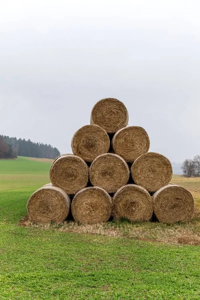 Group Rolled Straw Bales Stacked Pyramid Form Pile Outdoors Czech — Stock Photo, Image