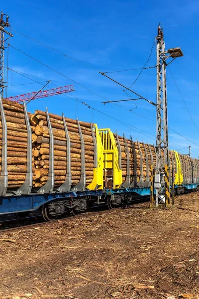 Wagons Laden Wood Czech Republic Timber Trading Freight Wagons Laden — Stock Photo, Image