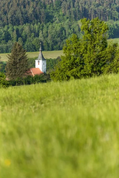 Башня Церкви Вид Сельскую Готическую Церковь Мартины Деревня Долни Локи — стоковое фото