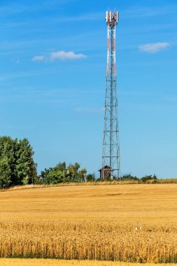 Tepedeki buğday tarlasıyla demir iletişim kulesi. Tarım. Buğday yetiştiriyorum. Tahıl ticareti. Mavi gökyüzüne karşı yüksek bir kulede yeni GSM antenleri.
