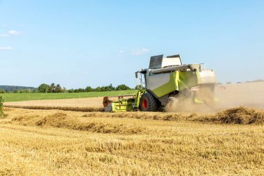 Harvesting wheat with a combine harvester. Agriculture. Growing wheat. Grain trading.