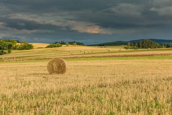 Bales Straw Evening Field Czech Republic Agricultural Landscape Wheat Harvest — Stockfoto