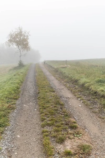 Countryside dirt road in foggy winter morning in Czech Republic. Country road in the fog. Autumn foggy landscape. Dream landscape.