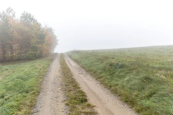 Εξοχή Χωματόδρομος Ομιχλώδη Χειμώνα Πρωί Στην Τσεχική Δημοκρατία Αγροτικός Δρόμος — Φωτογραφία Αρχείου