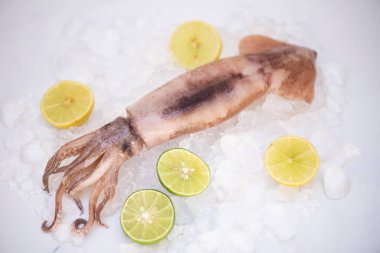 Raw squid on ice with salad spices lemon lime on the white plate background, fresh squids octopus or cuttlefish for cooked food at restaurant or seafood market 