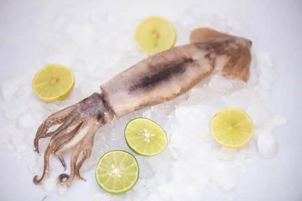 Raw Squid Ice Salad Spices Lemon Lime White Plate Background — Stok Foto