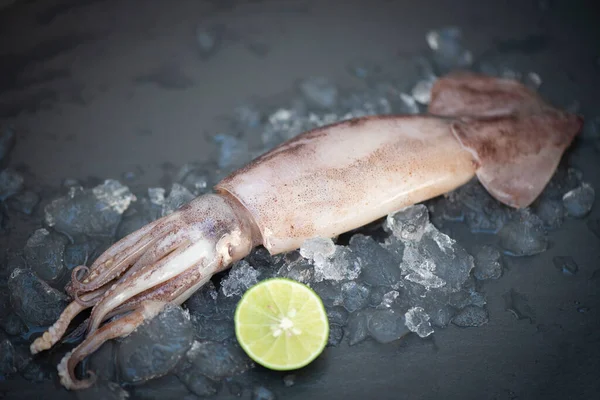 Raw Squid Ice Salad Spices Lemon Lime Dark Plate Background — Stok Foto