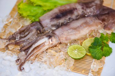 Buzlu kalamar, salatalı taze kalamar, sebze salatası, deniz mahsulü limon, beyaz tabakta.