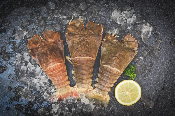 Raw flathead lobster shrimps on ice, fresh slipper lobster flathead for cooking on dark background in the seafood restaurant or seafood market, Rock Lobster Moreton Bay Bug