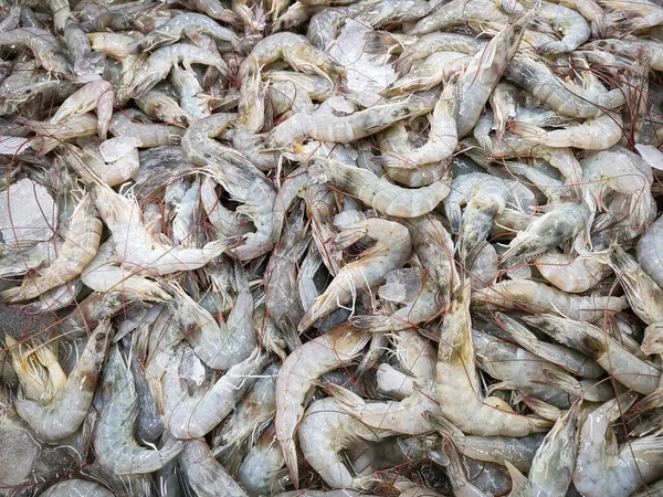 Fresh Shrimp Prawns Sale Market Seafood Restaurant Raw Shrimps Ice — Stock Photo, Image
