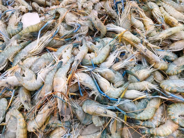 Camarones Crudos Sobre Hielo Camarones Frescos Para Venta Mercado Restaurante —  Fotos de Stock