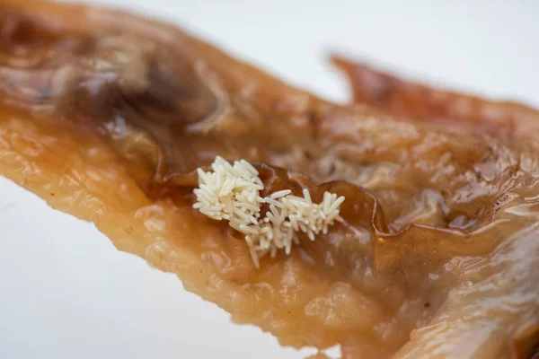 虫卵飞在食物上不卫生 苍蝇蛋窝苍蝇传播病菌的概念 — 图库照片