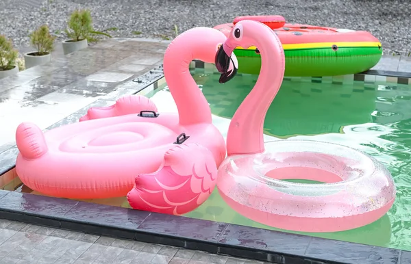 Flutuador Colorido Piscina Anel Rosa Que Flutua Piscina Flamingo Anel — Fotografia de Stock