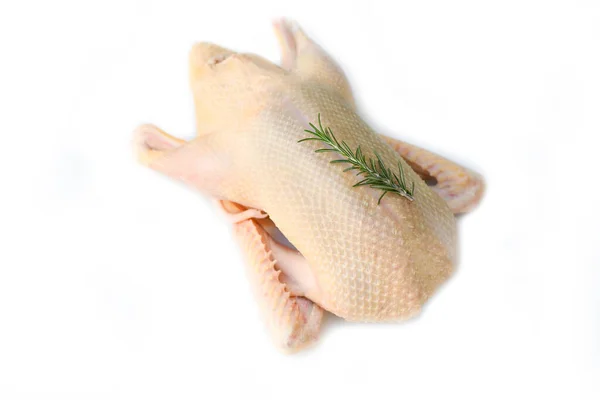 Rohe Ente Isoliert Auf Weißem Hintergrund Frisches Entenfleisch Mit Kräuterrosmarin — Stockfoto