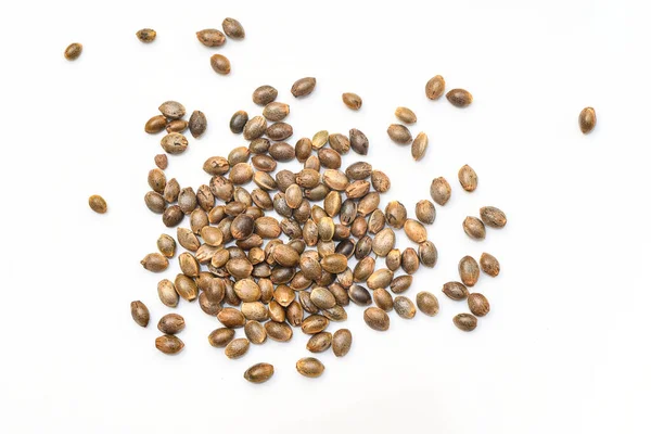 Cannabis Seeds Hemp Seeds Marijuana Seed Cannabis Seed Isolated White — Stock Photo, Image