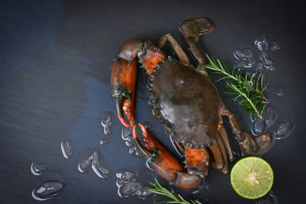 raw crab on black background , fresh mud crab with ice and with herbs and spices rosemary lemon lime for cooking food in the seafood restaurant