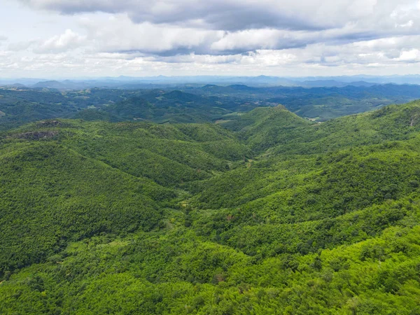 Aerial view forest trees background jungle nature green tree on the mountain top view , forest hill landscape scenery of river in southeast Asia tropical wild