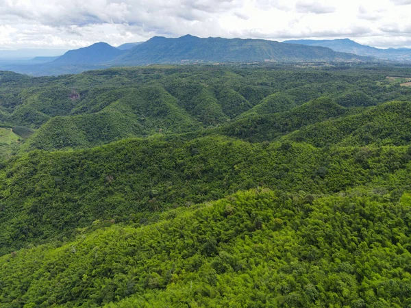 Luftaufnahme Waldbäume Hintergrund Dschungel Natur Grüner Baum Auf Dem Berggipfel — Stockfoto