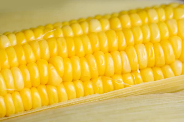Cooked Sweet Corn Background Ripe Corn Cobs Steamed Boiled Sweetcorn — Fotografia de Stock